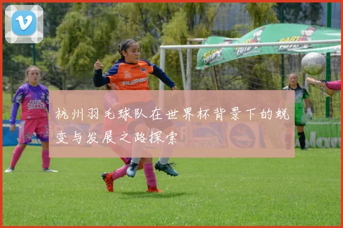 杭州羽毛球队在世界杯背景下的蜕变与发展之路探索