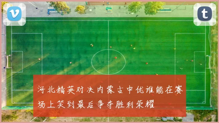 河北精英对决内蒙古中优谁能在赛场上笑到最后争夺胜利荣耀