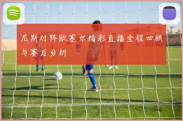 尼斯对阵欧塞尔精彩直播全程回顾与赛后分析