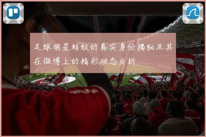 足球明星蚂蚁的真实身份揭秘及其在微博上的精彩动态分析