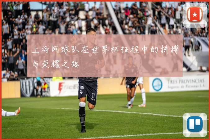 上海网球队在世界杯征程中的拼搏与荣耀之路