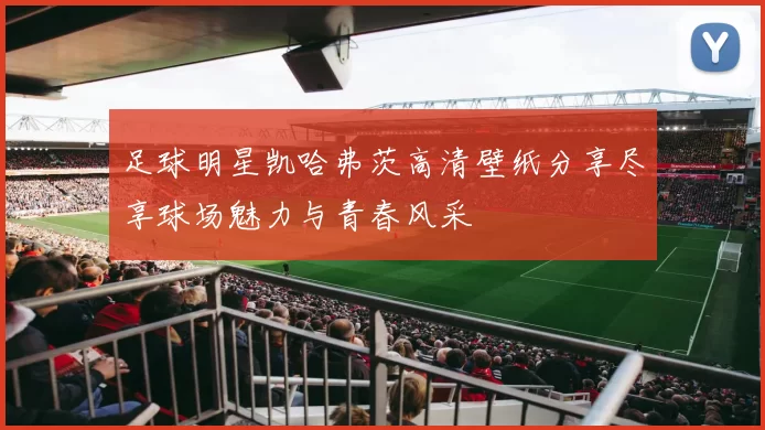 足球明星凯哈弗茨高清壁纸分享尽享球场魅力与青春风采