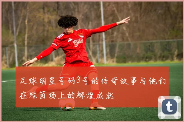 足球明星号码3号的传奇故事与他们在绿茵场上的辉煌成就