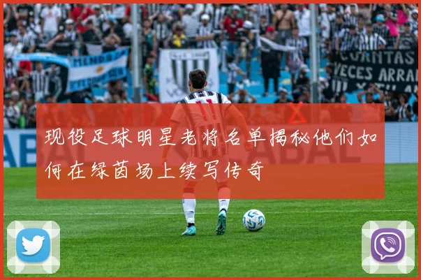 现役足球明星老将名单揭秘他们如何在绿茵场上续写传奇